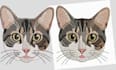 do fast embroidery digitizing logo any image into dst pes