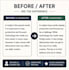 professionally proofread, edit, and humanize ai content