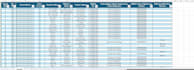 be your excel expert for data cleaning, formulas and dashboards