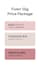 design aesthetic and minimalist logo