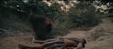 do vfx fire explosion visual effect fire attract gun shot rain smoke in houdini