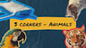 make cool and creative teaching material and resources