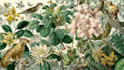 draw an animal and botanical illustration