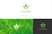 make an professional modern smoking, vape logo