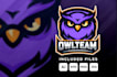 do modern high qulity amazing owl logo
