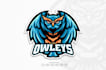 design modern attractive creative owl logo