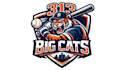 design high quality baseball mascot logo with express delivery