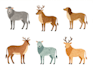 draw detail animal illustration