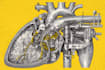 do medical, human anatomy and scientific illustrations