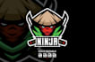 design creative high quality graceful ninja logo