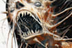 draw professional mystical cosmic horror art