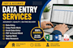 do fast and accuraate data entry work for you