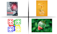 provide graphic designing services