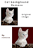do professional image background removal and photo cutout