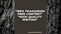 write professional assignments and blog posts