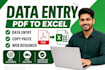 do accurate excel data entry, copy paste and web research