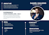 make professional resume and modern CV