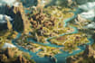 detailed fantasy map for your novel, boardgame