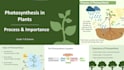 create presentation slides with detailed speaker notes