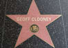 put your name on a star on the Hollywood walk of fame. Become a celebrity in 48 hours or less -- or make someone else one