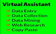 do expert data entry and copy paste