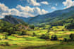 paint landscape in oil painting