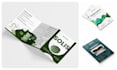 design professional canva brochure or catalog