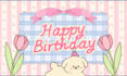 graphic designing, ebooks, ecards, invitations cards