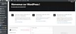 fix wordpress, elementor and woocommerce bugs