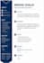 create modern CV and professional resume