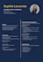 create a professional CV and resume