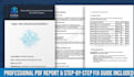 a professional web vapt assessment