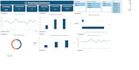 build professional excel dashboard, charts and data cleaning