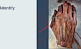 teach you anatomy spotters using real cadaveric images