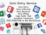 do data entry copy  paste