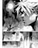 design a professional comic book cover, manga cover