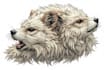 draw detailed furry characters for your ideas