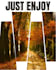 l will make professional canva poster design, social media posts