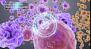 create pharmaceutical moa animation and drug mechanism explainer video