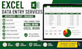 do excel data entry, billing, data cleaning and reports