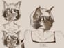 draw your furry or fursona in a realistic cartoonish style