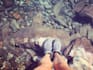 create a personalized travel itinerary