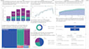 do data analysis, visualization , dashboards