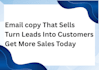 write high converting email copy sales copy and product descriptions