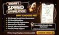 shopify speed optimization and increase shopify pagespeed