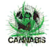 make professional skull cannabis logo