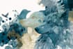 create watercolor and digital illustrations