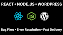 fix bugs in your react, node js ,wordpress or shopify website