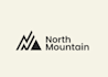 create a professional mountain logo design
