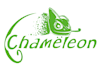 create a creative chameleon mascot logo design
